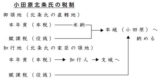 小田原北条氏の税制　御領地（北条氏の直轄地）　本年貢（本税）　米納　賦課税（役銭）　知行地（北条氏の家臣の領地）　本年貢（本税）　知行人　支城へ　賦課税（役銭）　本城（小田原）へ納める