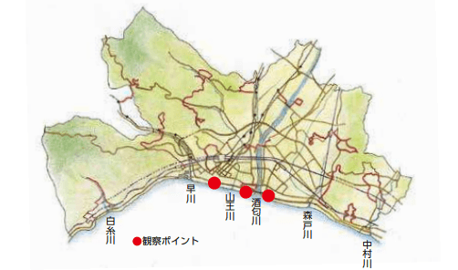 砂浜の自然観察ガイド