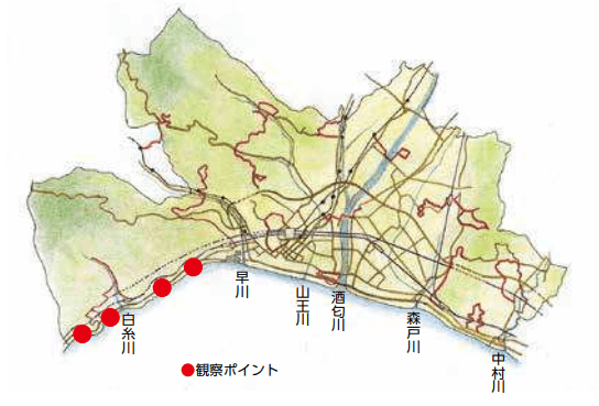 磯の自然観察ガイド