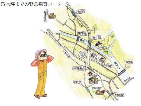 取水堰までの野鳥観察コース