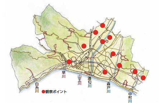 平地の自然観察ガイド