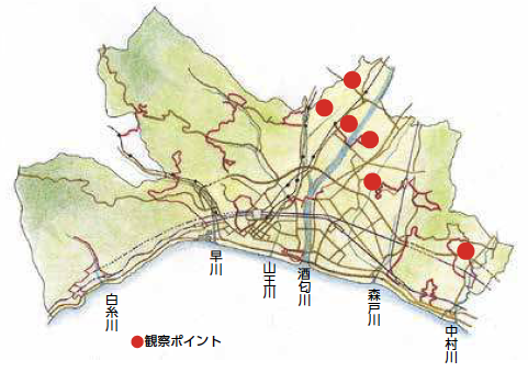 水田の自然ガイド