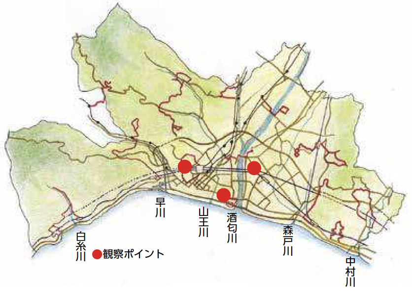市街地の自然ガイド