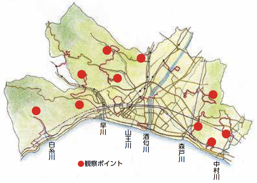 丘陵の自然観察ガイド