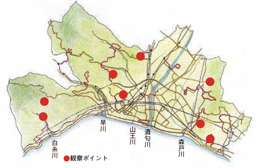 雑木林の自然ガイド