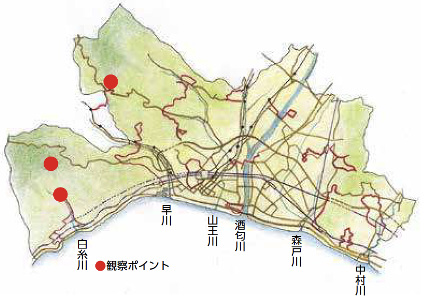 山地の自然観察ガイド