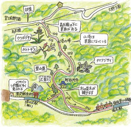 山地の自然観察ガイドマップ